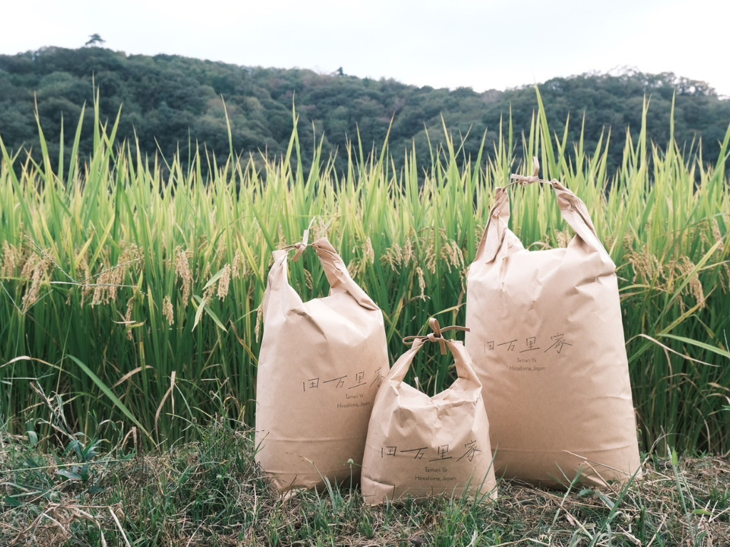 田んぼから、全国へ。田万里家の「新米」をふるさと納税限定でご予約いただけます（令和8年度分）