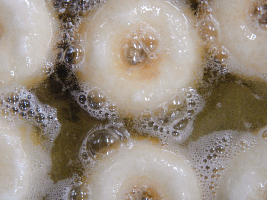 1月20日(火)より、【そごう広島】にて“揚げたて”米粉ドーナツを期間限定で販売いたします